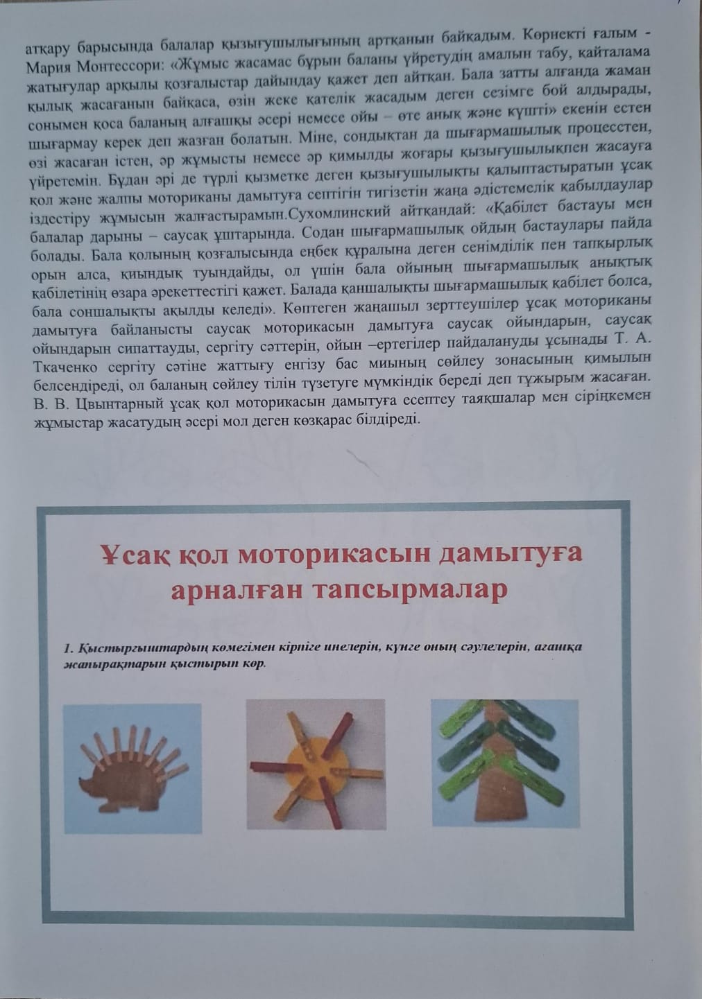 WhatsApp Image 2026 02 03 at 10.19.08